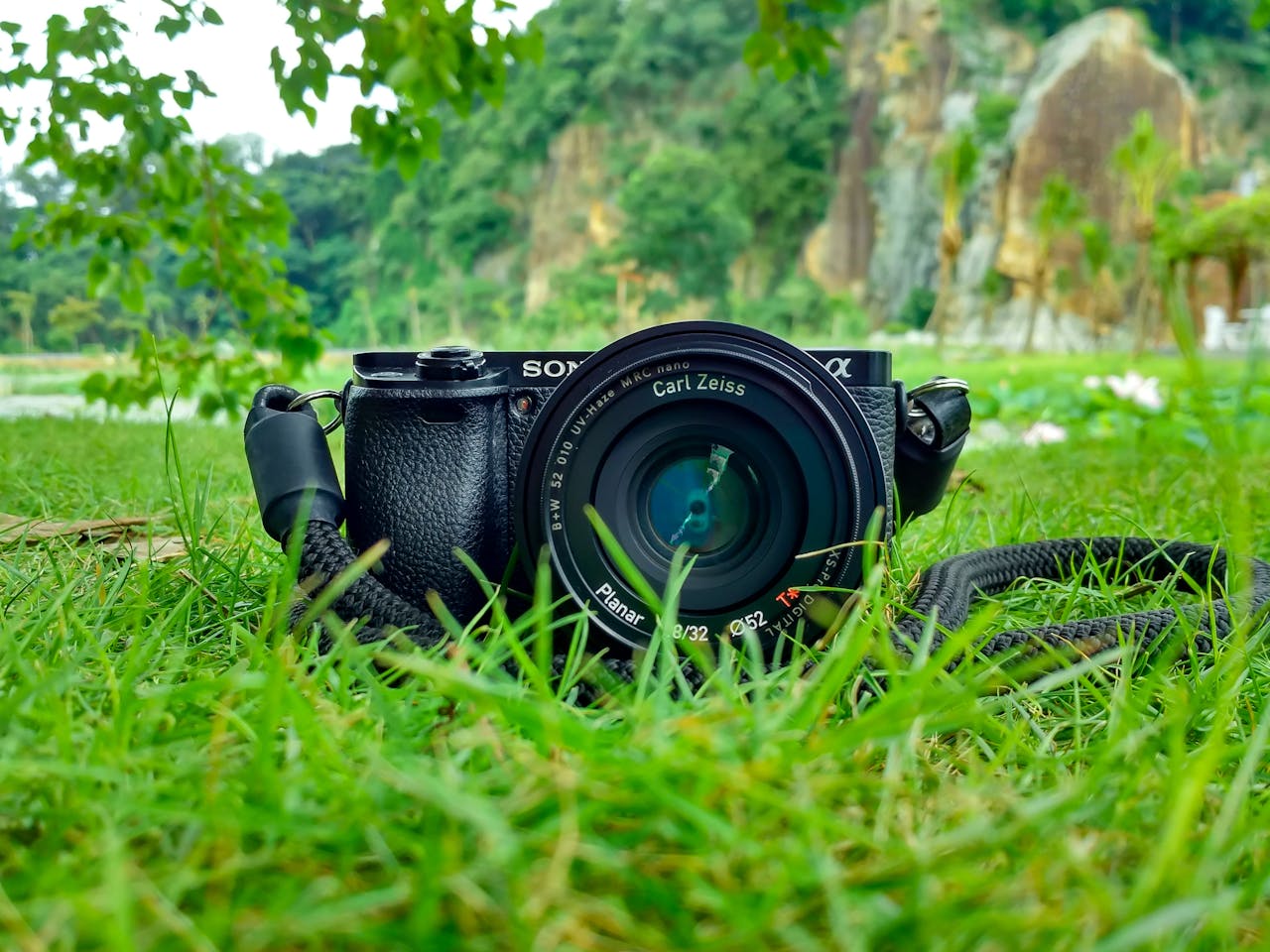 Camera with Carl Zeiss lens on grass, surrounded by nature and vibrant greenery.